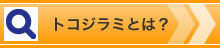 トコジラミとは？