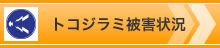 トコジラミ被害状況