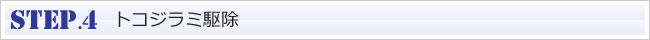 STEP.4 トコジラミ駆除 