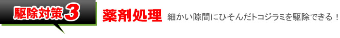 駆除対策3「薬剤処理」