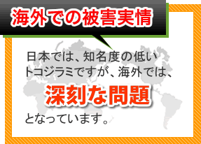 海外での被害実情　日本では、知名度の低いトコジラミですが、海外では深刻な問題となっています。