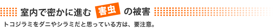 お住まいで密かに進む外注の被害 トコジラミをダニやシラミだと思っている方は、要注意。