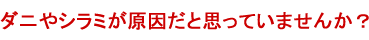 ダニやシラミが原因だと思っていませんか？